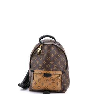 Louis Vuitton Palm Springs Backpack #242743L21B